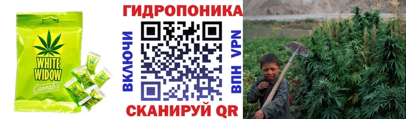 mega tor Судогда Печенье с ТГК марихуана