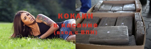 гашик Пересвет