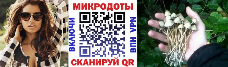 купить  сайты  Судогда  Псилоцибиновые грибы Magic Shrooms 