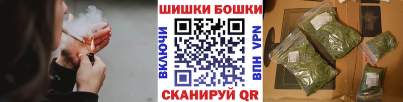 купить   Судогда  дарк нет официальный сайт  Марихуана план 